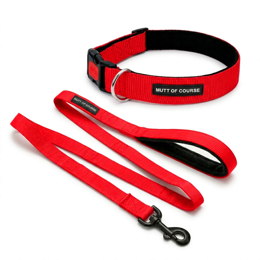 Mutt Of Course Basic Red Dog Collar & Leash Combo