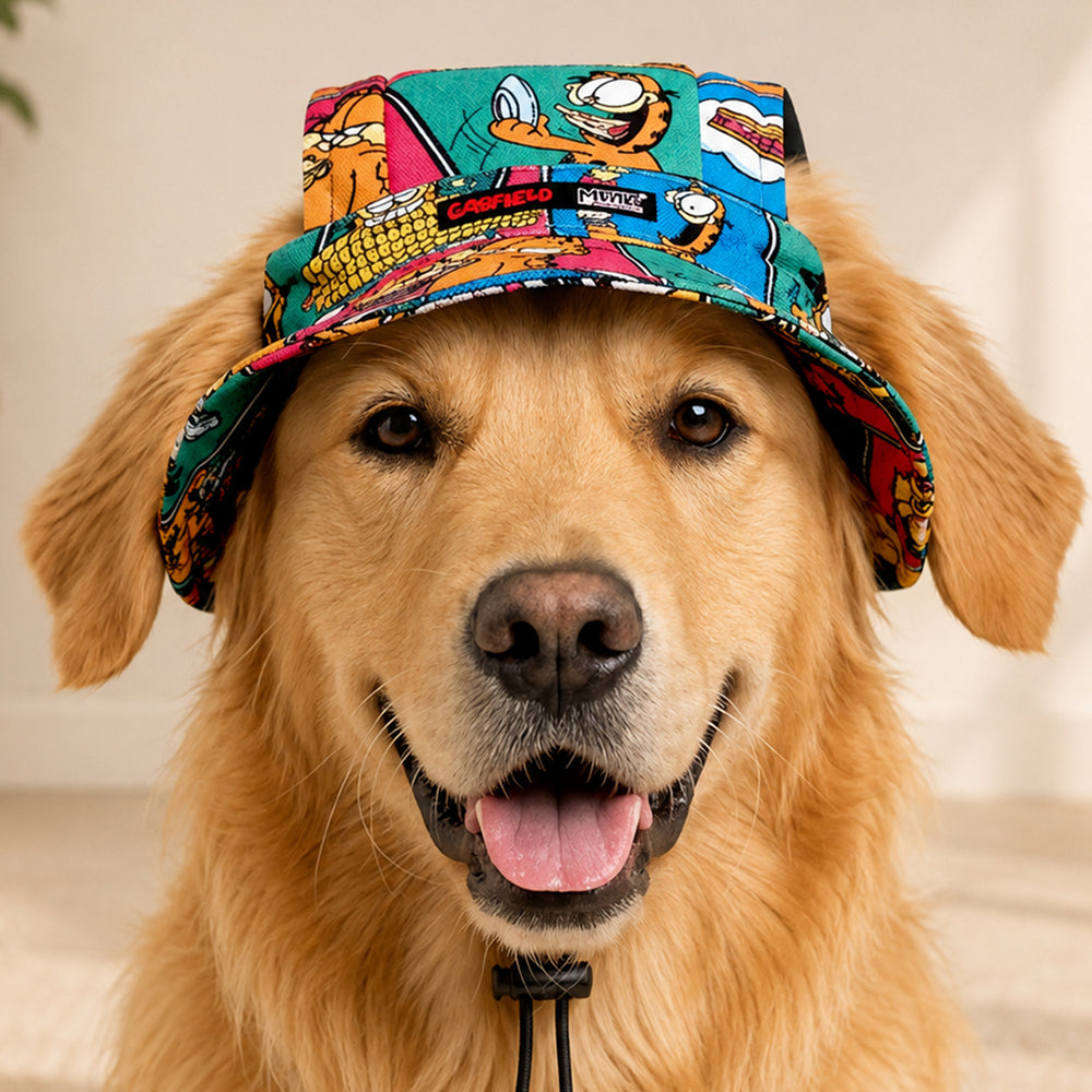 Garfield Binge Dog Hat
