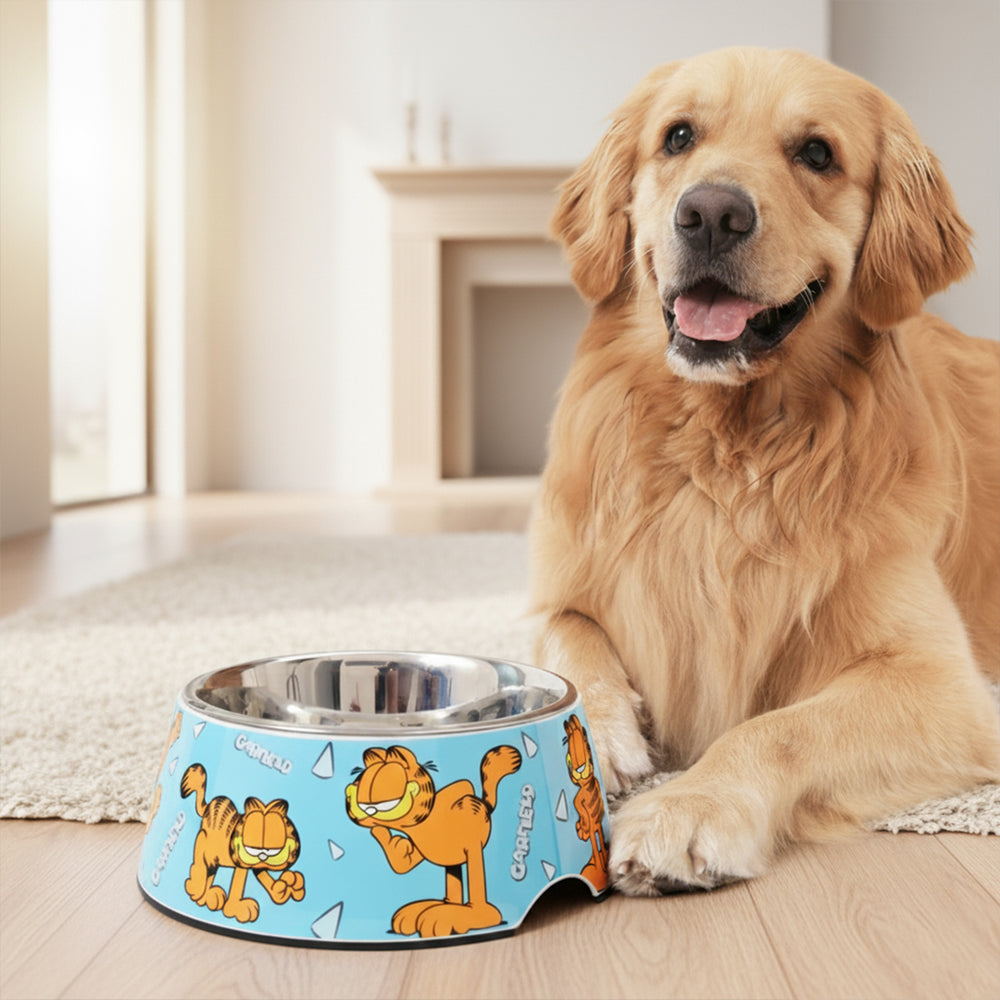 Garfield Poses Dog Bowl