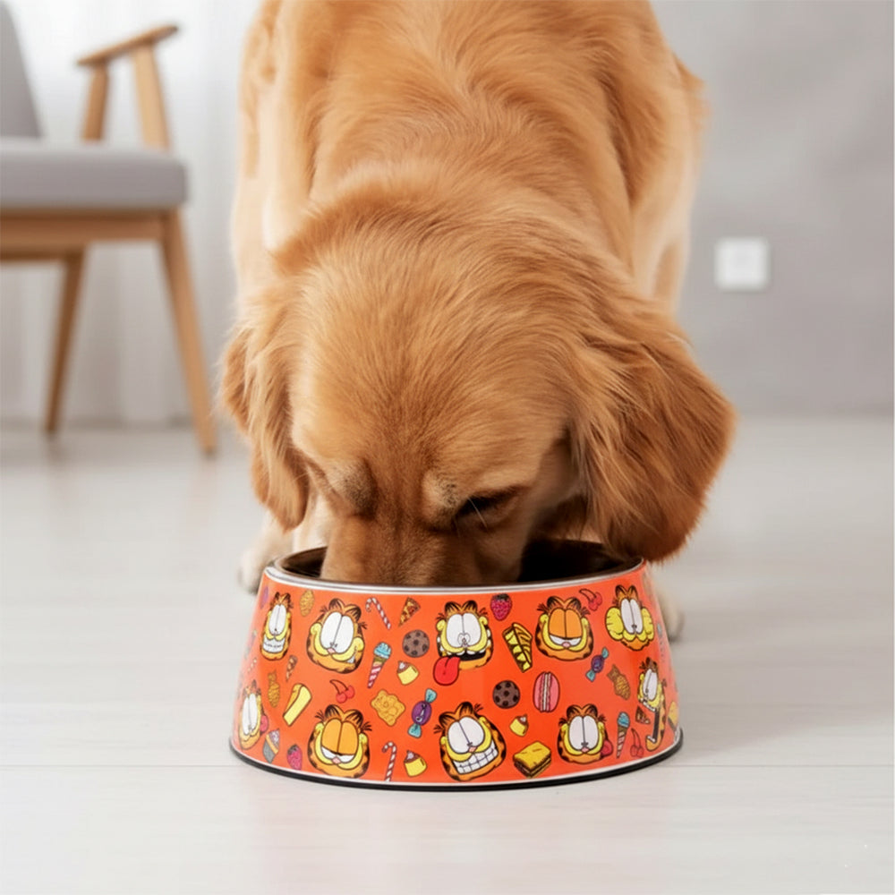 Garfield Binge Dog Bowl