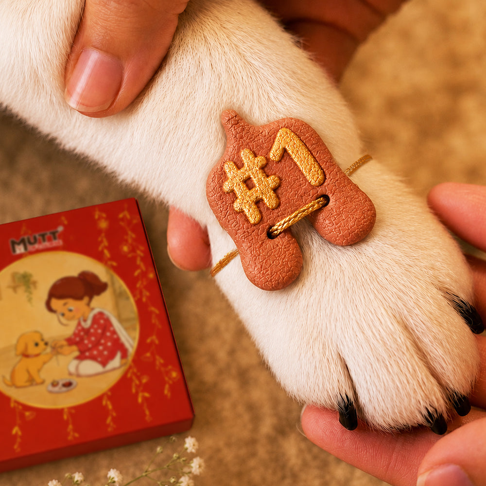 Rakhi Dog Treat