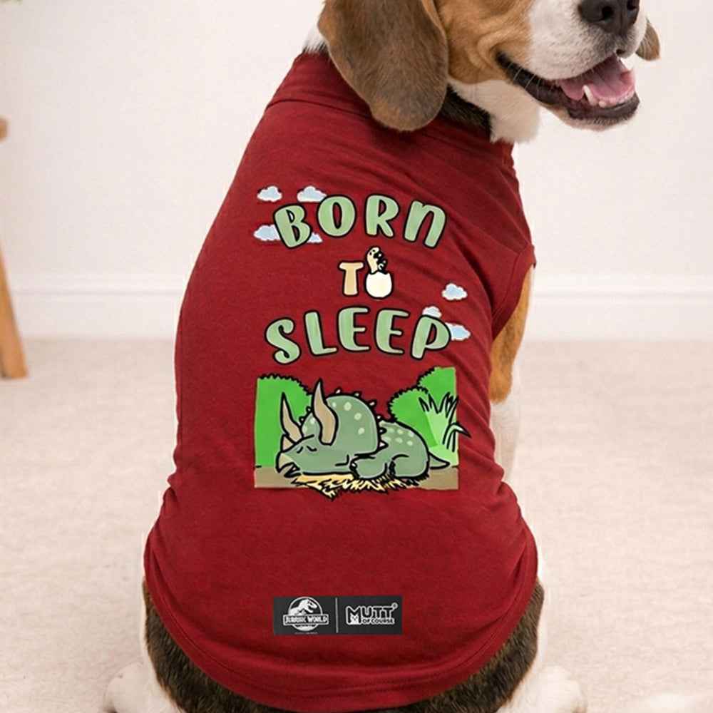 Jurassic Born To Sleep Dog T-Shirt | Dinosaur Comfort Graphic Tee for Dogs