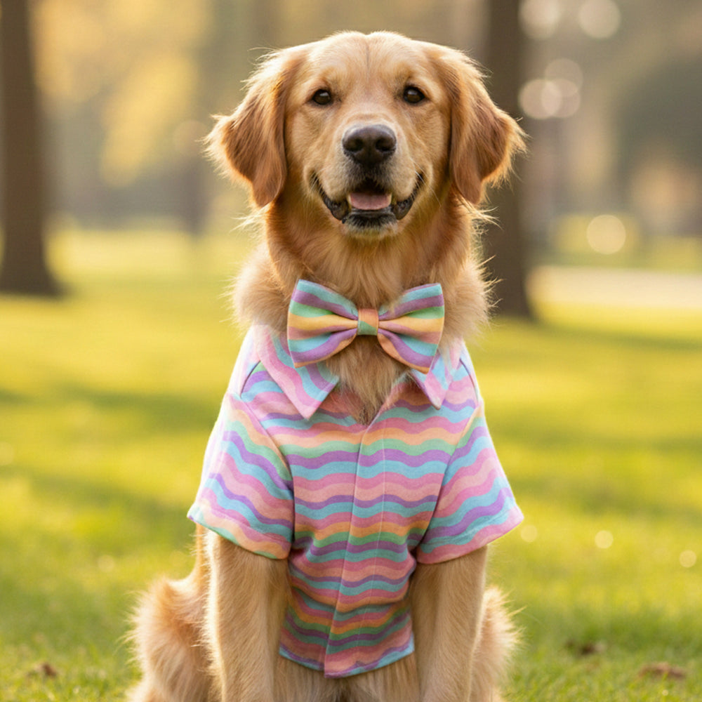 Marshmallow Rainbow Dog Shirt & Matching Bow Tie