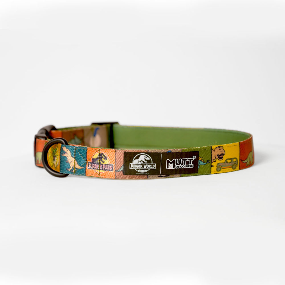 Jurassic Classic Dog Collar