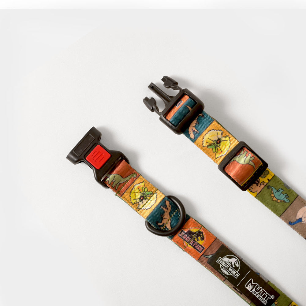 Jurassic Classic Dog Collar