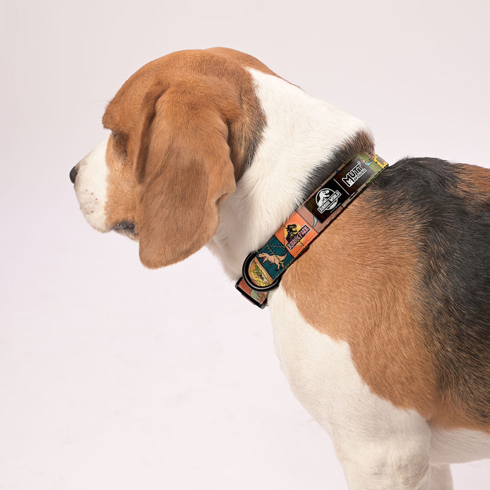 Jurassic Classic Dog Collar