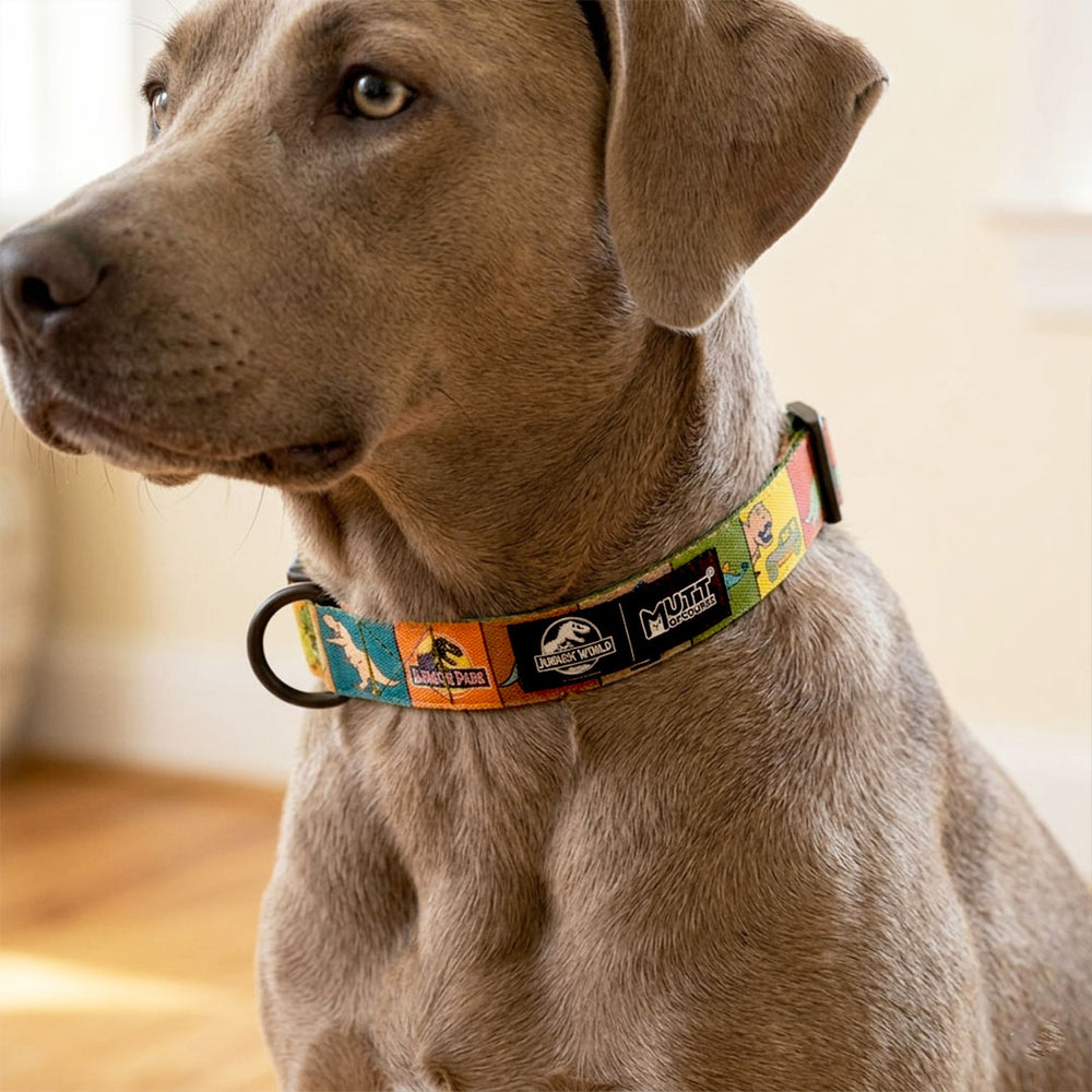 Jurassic Classic Dog Collar