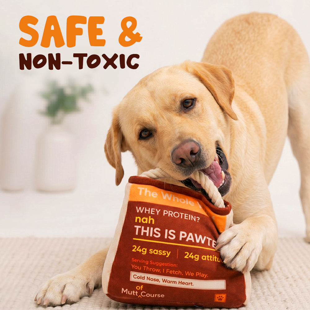 High Pawtein Dog Toy