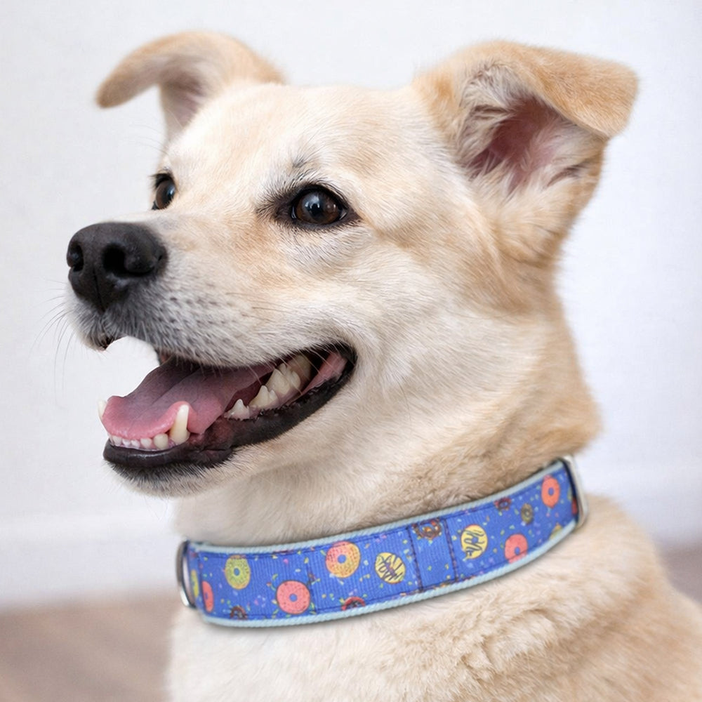 Donuts Denim Collar