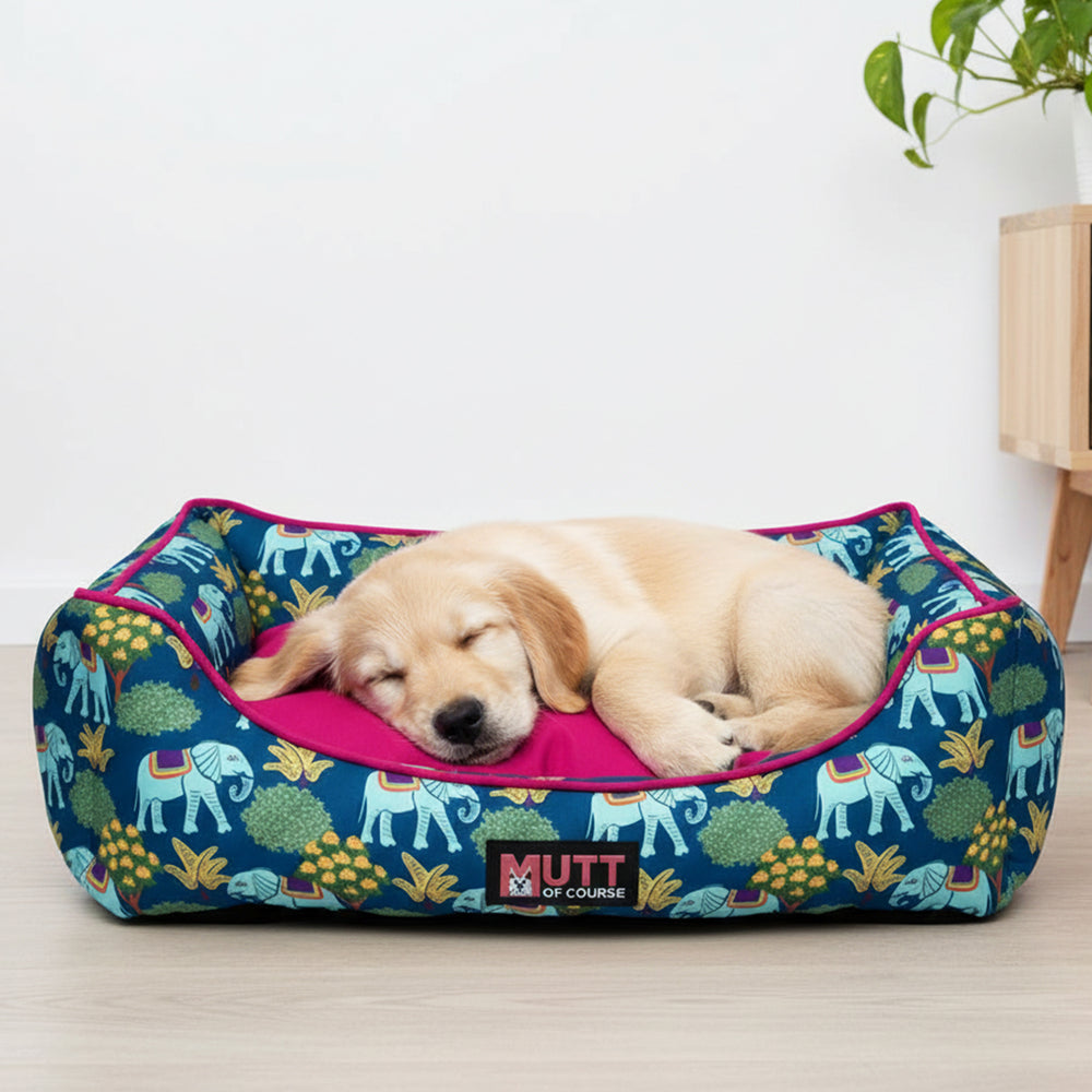 Royal Indian Elephant Bed