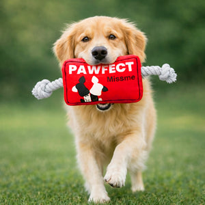 Pawfect Missme Squeaky Rope Dog Toy