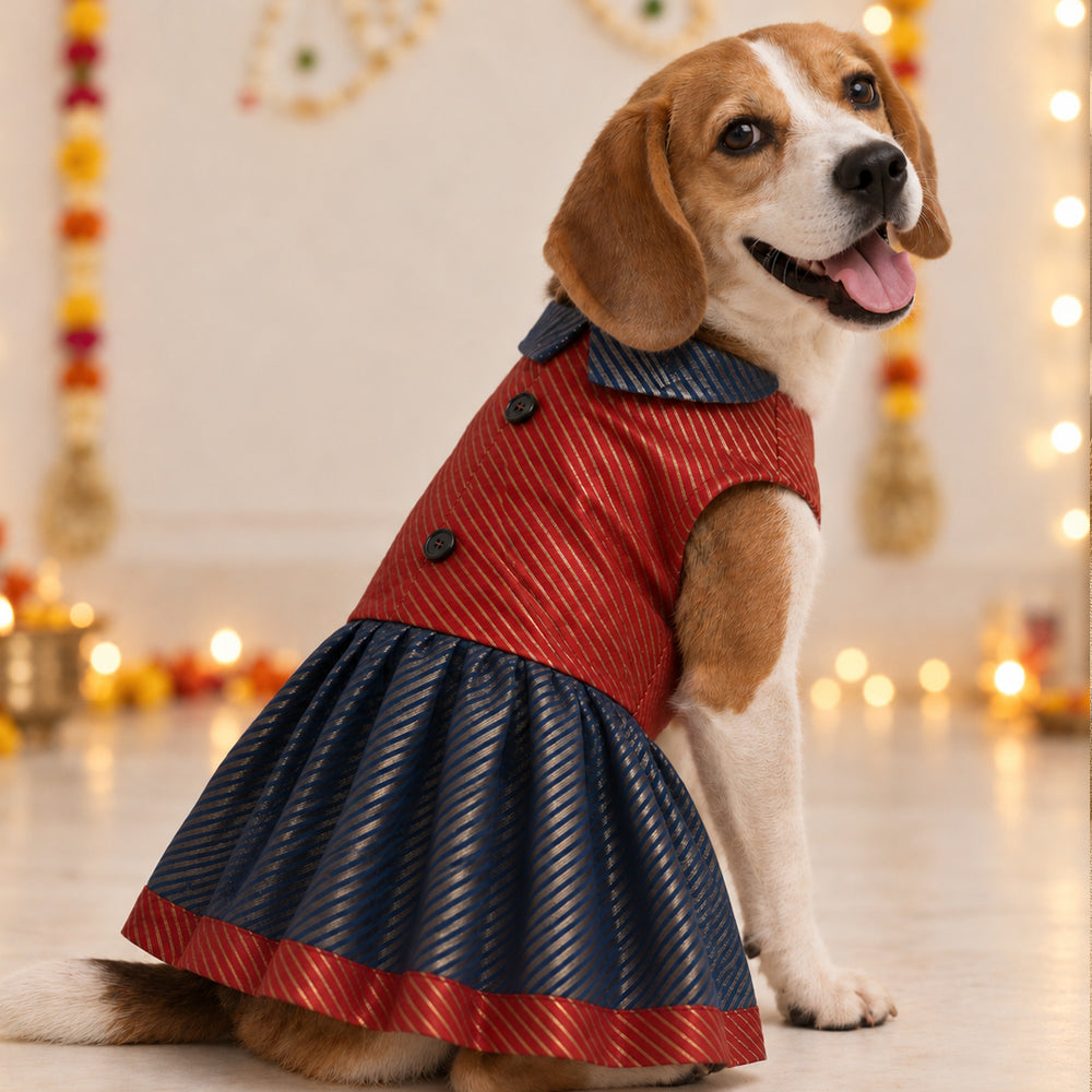 Banarasi Lehenga for Dogs – Royal Festive Wear (with cotton lining)