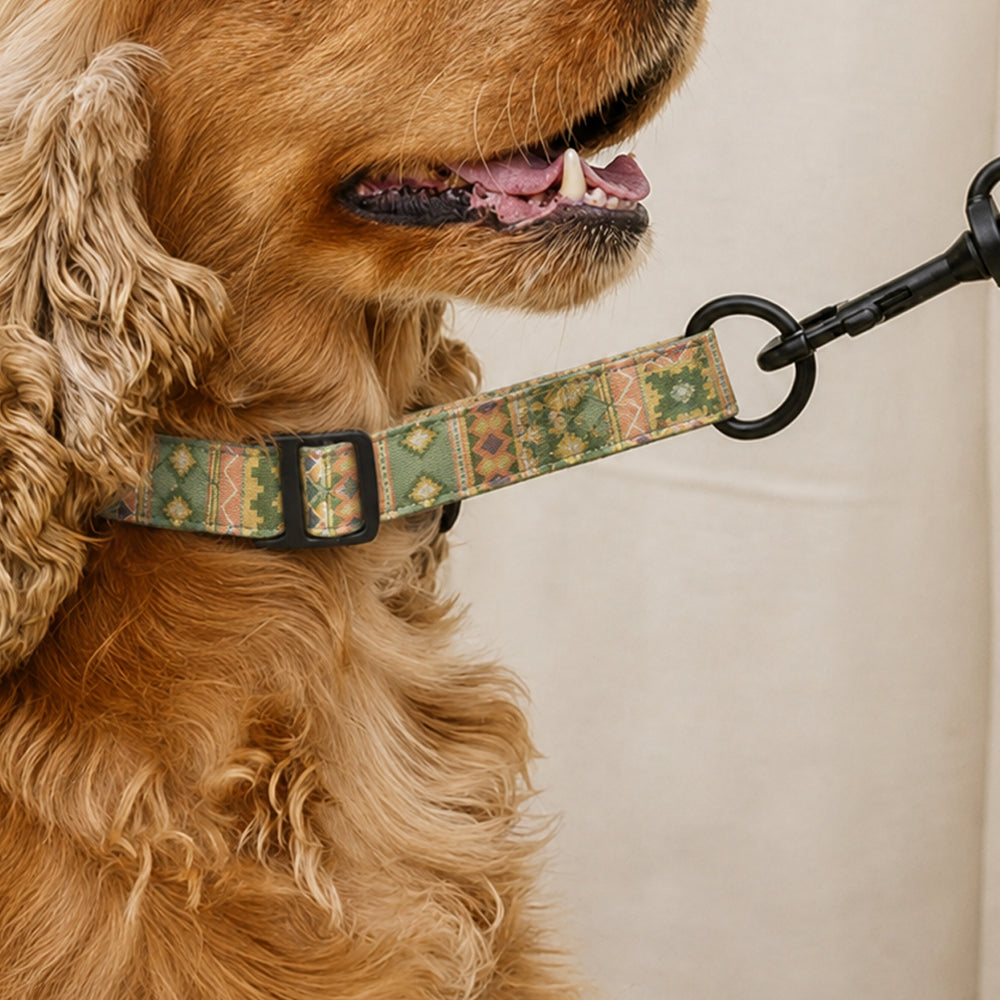 Mutt Of Course Aztec Martingale Denim Collar | Stylish Denim Dog Collar