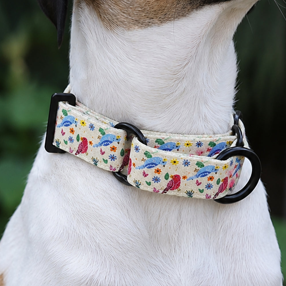 Mutt Of Course Chirpy Chirp Martingale Collar | Soft & Comfortable Dog Collar
