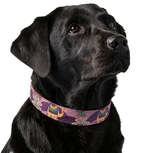 Royal Indian Camel Collar For Dogs