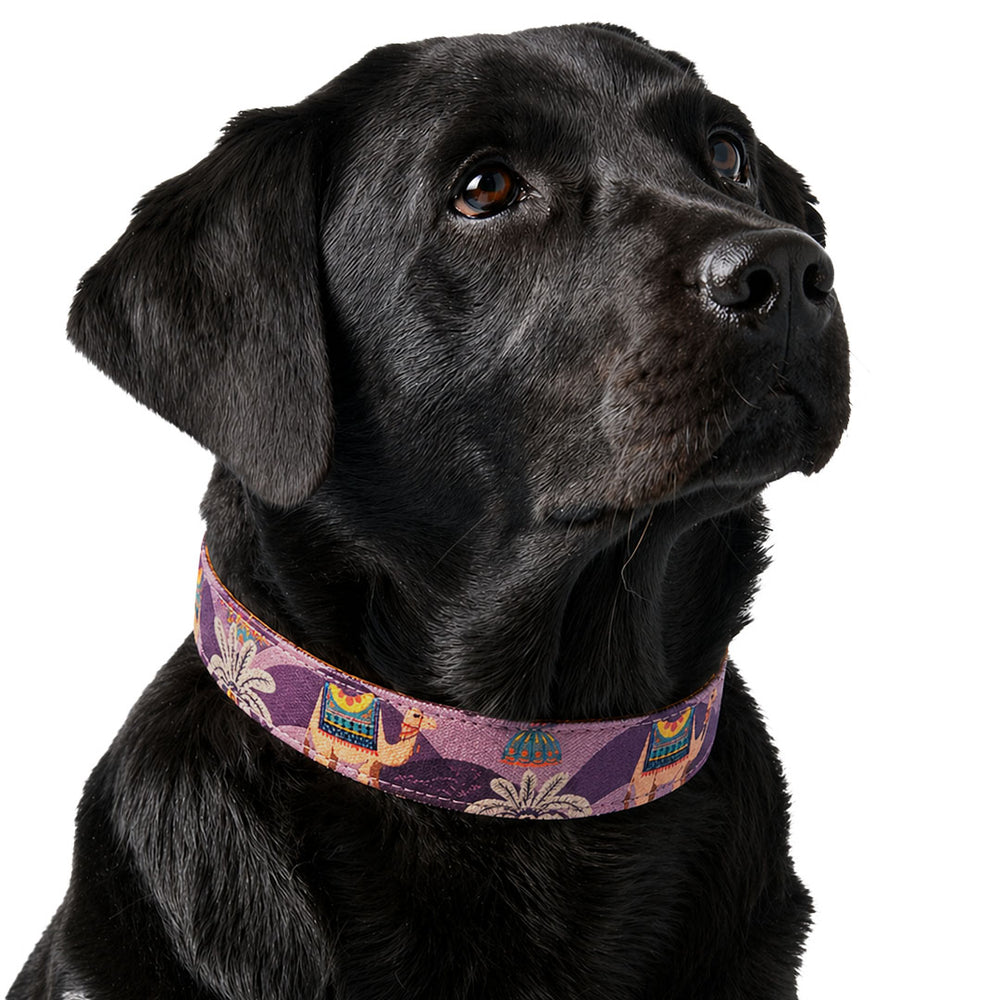 Royal Indian Camel Collar For Dogs