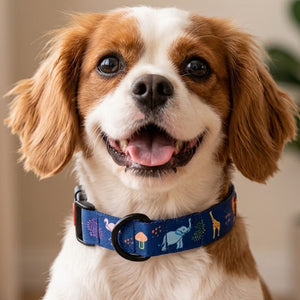 Jungle Collar For Dogs