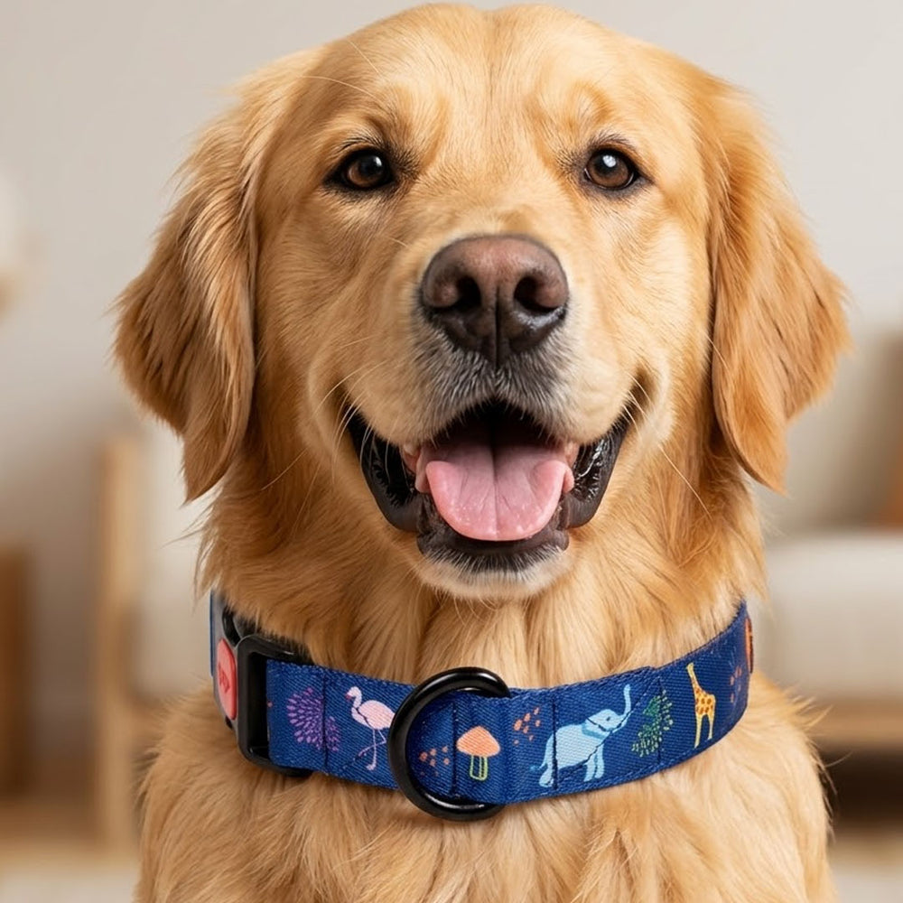 Jungle Collar For Dogs