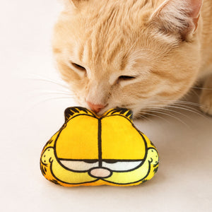 Garfield Catnip Plush Toy