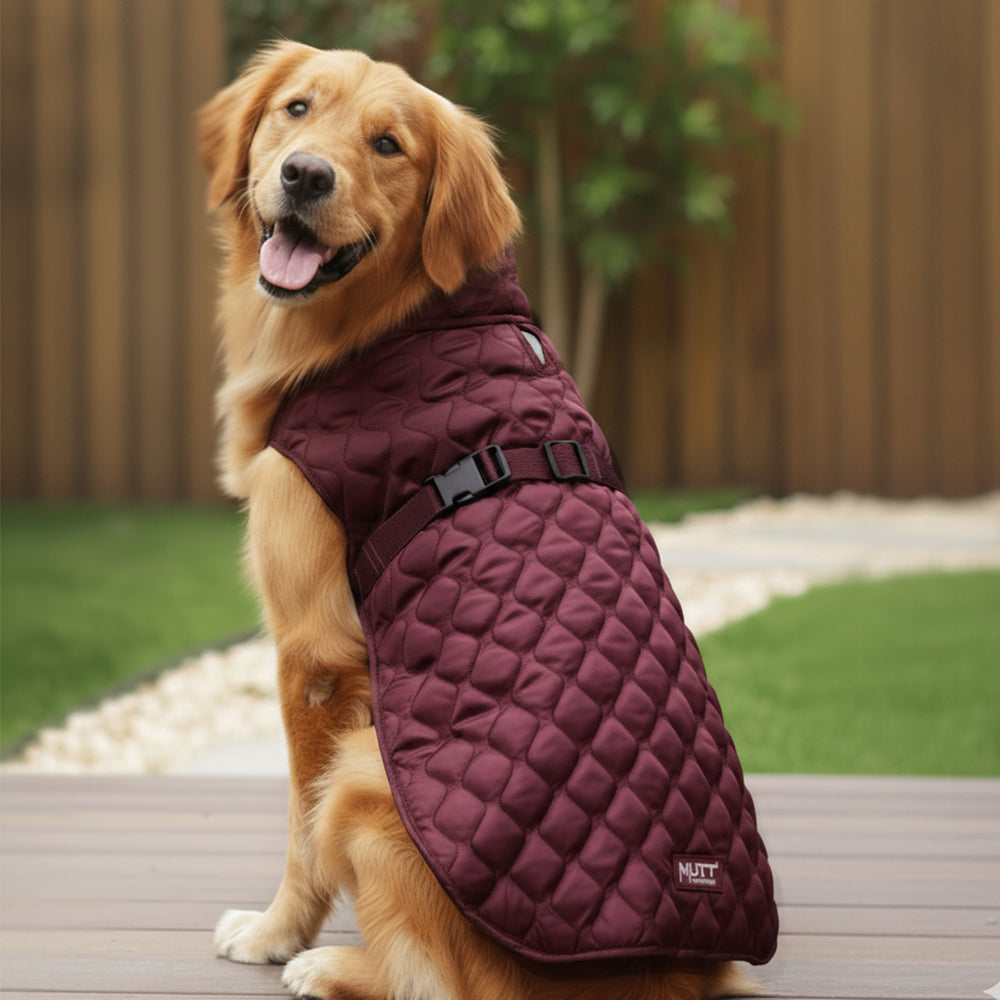 Burgundy Quilted Dog Jacket (Tested upto ~5°C)