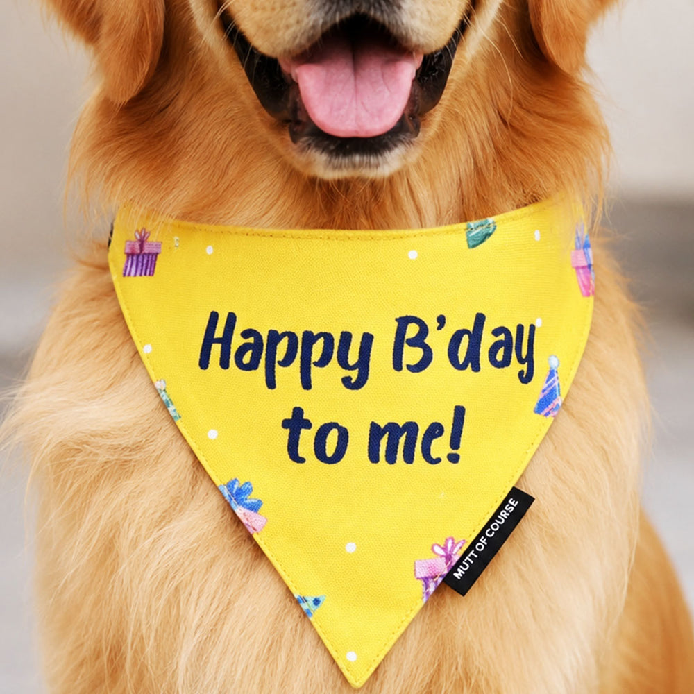 Happy Birthday Bandana – Yellow