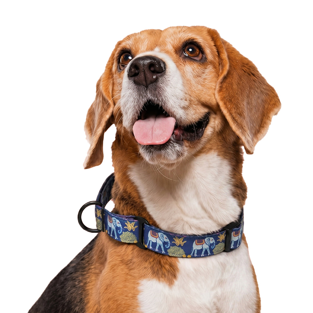 Royal Indian Elephant Martingale Collar
