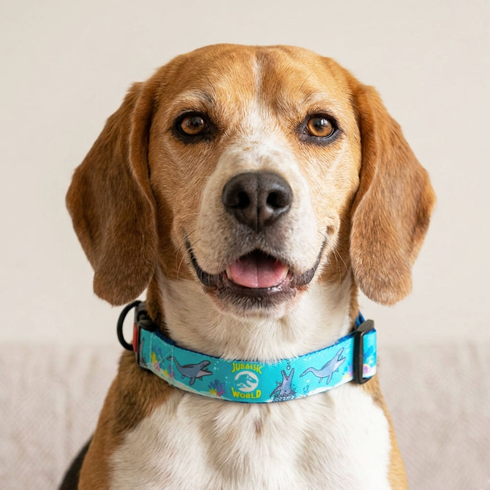 Jurassic Marine Dinos Dog Collar & Leash Set |Ocean Dinosaur Adventure Set for Dogs