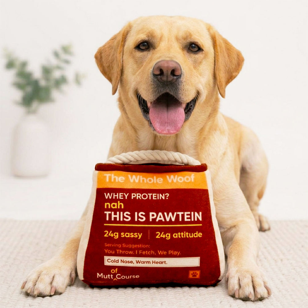 High Pawtein Dog Toy