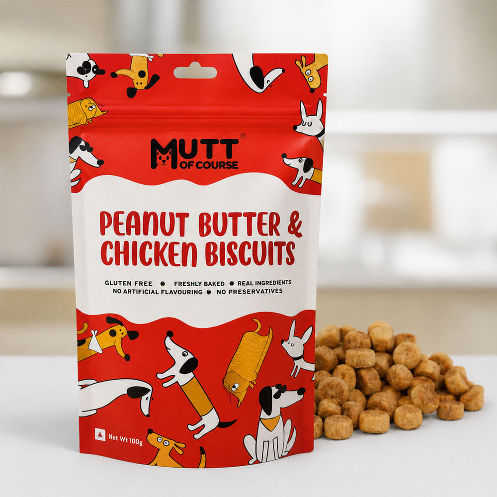 Peanut Butter Chicken Pet Treats (Gluten Free)
