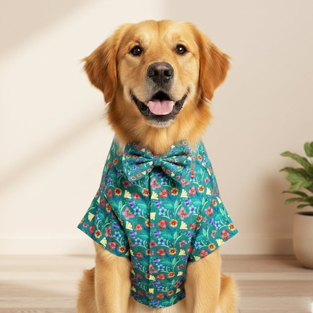 Matching Garden Green Dog Shirt & Dog Bow Tie  | Adjustable Bow Tie for Dogs | Breathable Fabric Shirt for Dogs