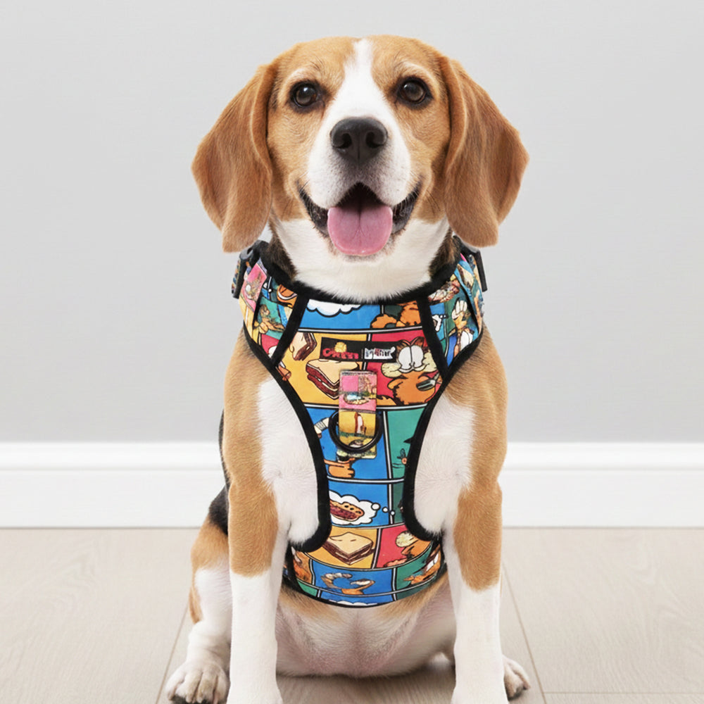 Garfield Binge & Burp Ruff N&