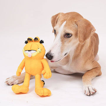 Garfield Plush Toy (2-in-1 Toy)