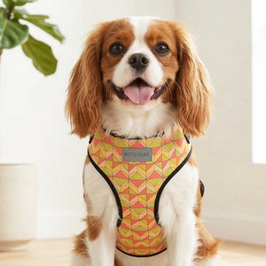 Coral Reef Vest Harness