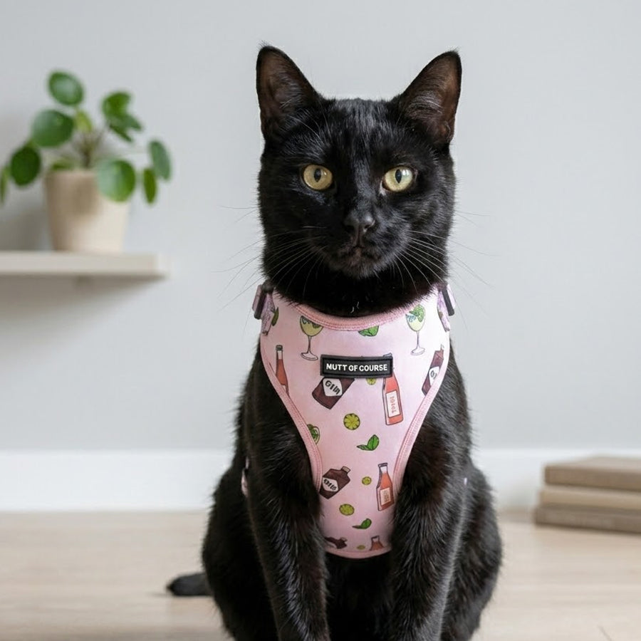 Gin and Tonic Vest Harness For Cats