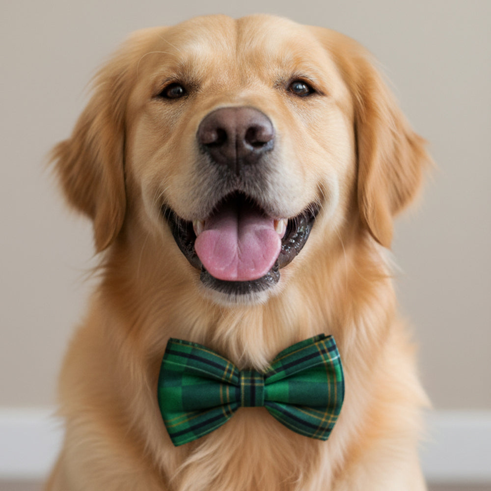 Green Plaid Bow Tie