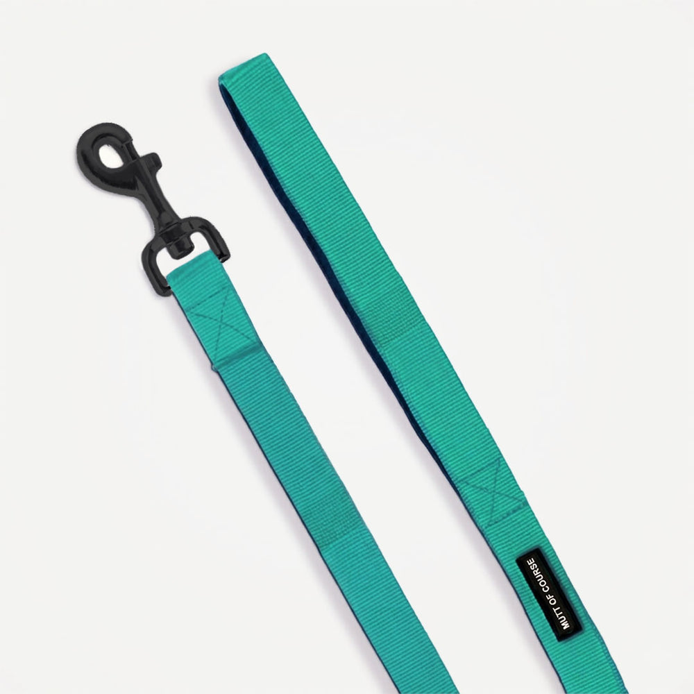 Mutt Of Course Basic Sea Green Dog Leash