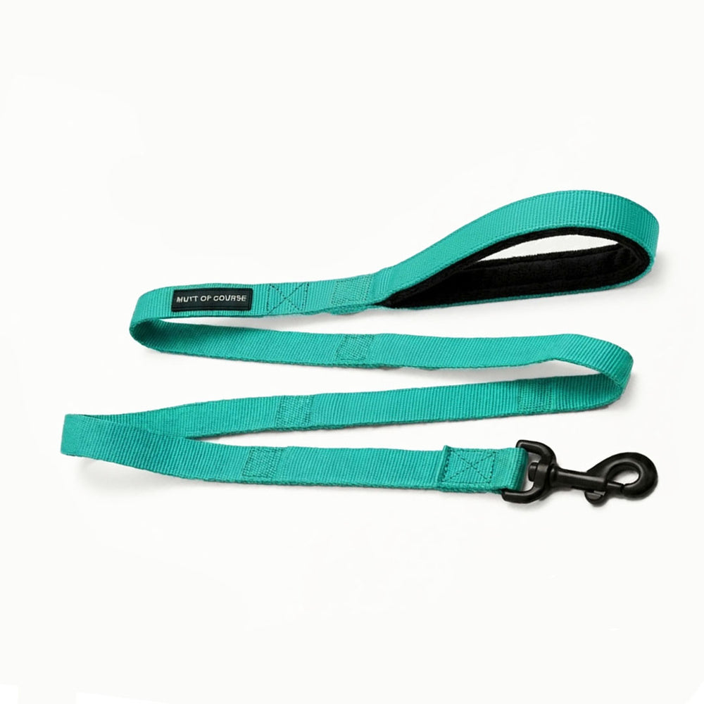 Mutt Of Course Basic Sea Green Dog Leash