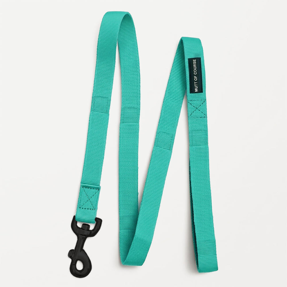 Mutt Of Course Basic Sea Green Dog Leash