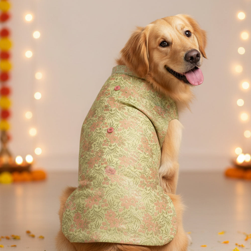 Green Floral Bliss Sherwani