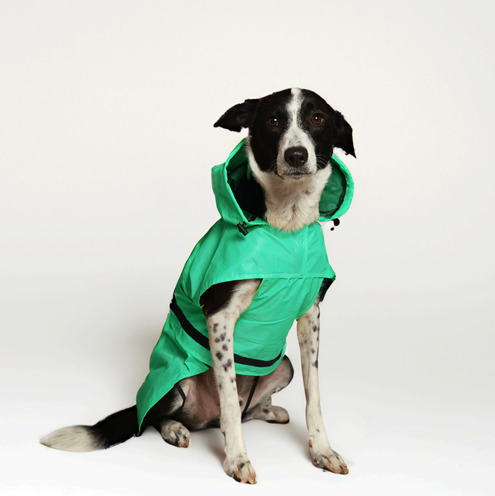 Green Dog Raincoat