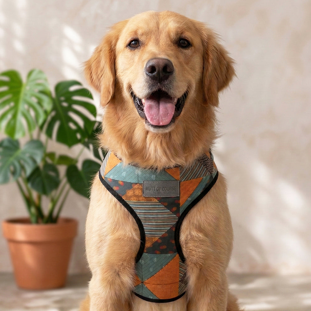 Tricky Turkey Vest Harness