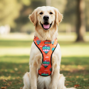 Hot Air Balloon Vest Harness