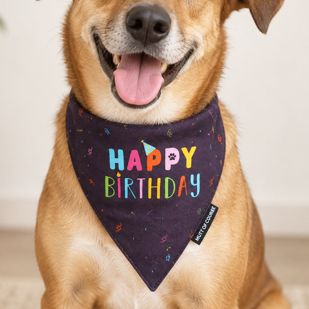 Happy Birthday Bandana – Purple