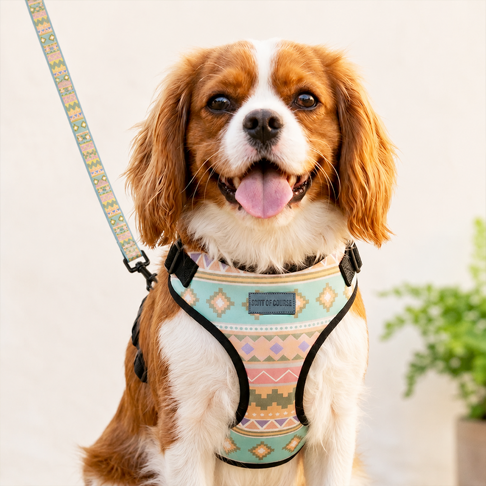 Aztec Vest Harness + Leash Set