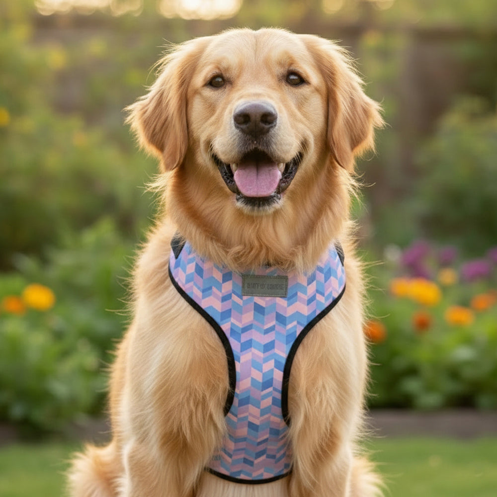 Geometrical Light Vest Harness