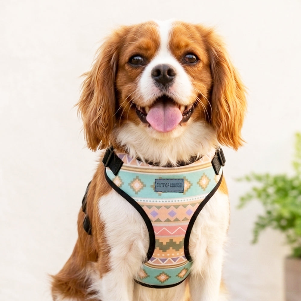 Aztec Vest Harness + Leash Set