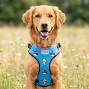 Pupsicle Vest Harness