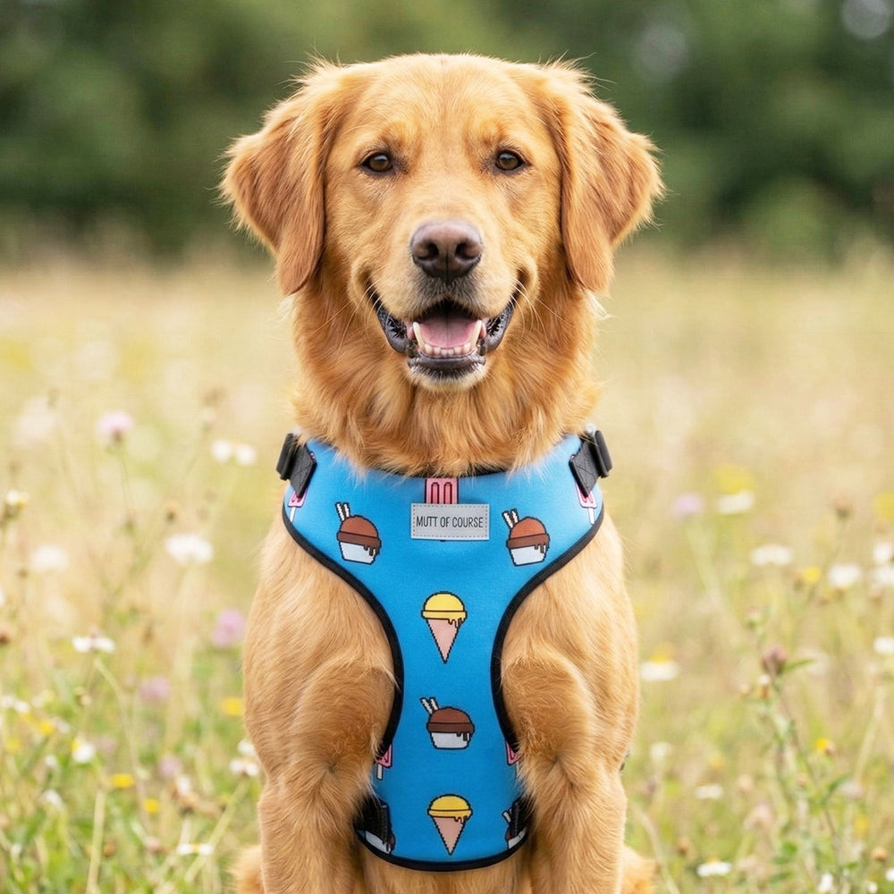 Pupsicle Vest Harness