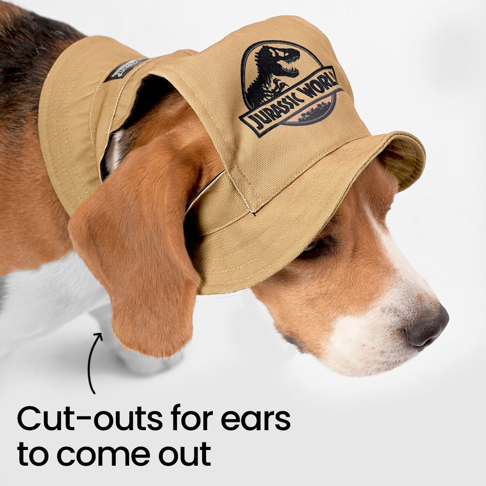Jurassic Mini Explorer Bucket Hat for Dogs | Dinosaur Adventure Sun Hat for Pets