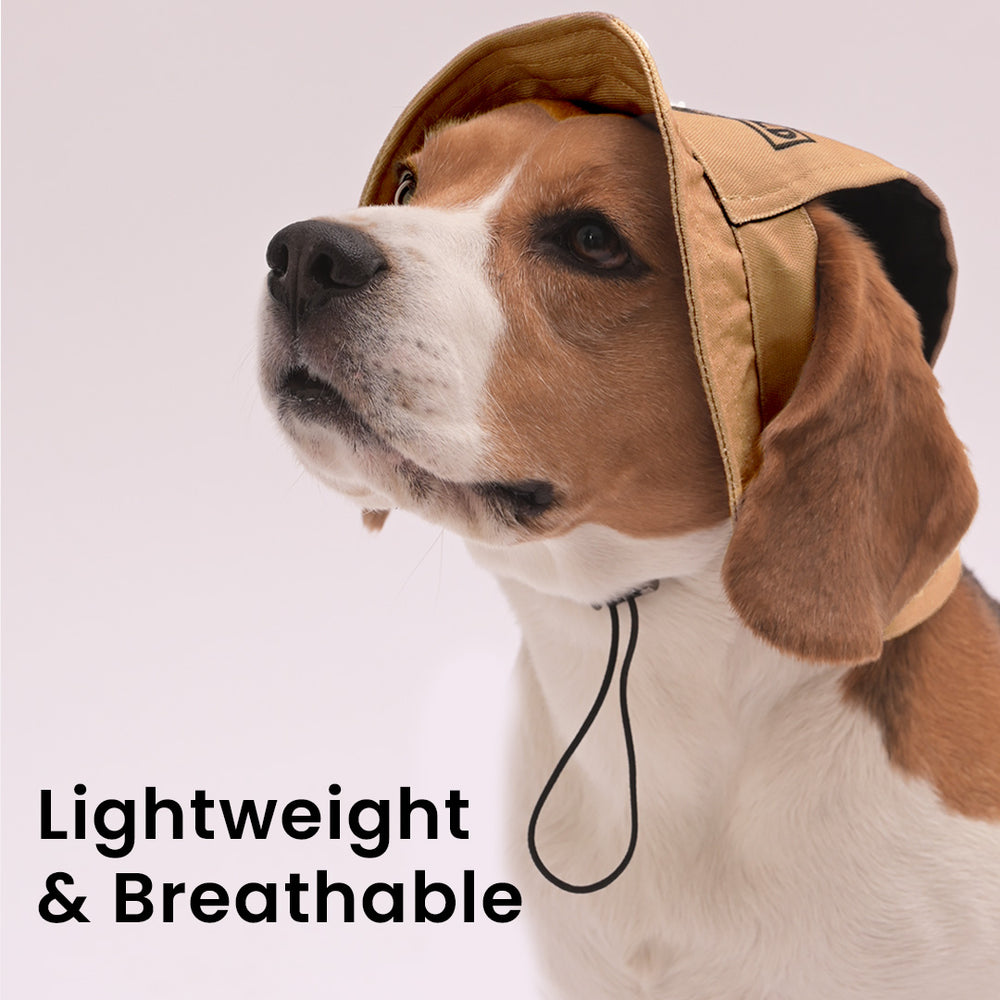 Jurassic Mini Explorer Bucket Hat for Dogs | Dinosaur Adventure Sun Hat for Pets